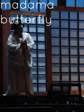 copertina_butterfly